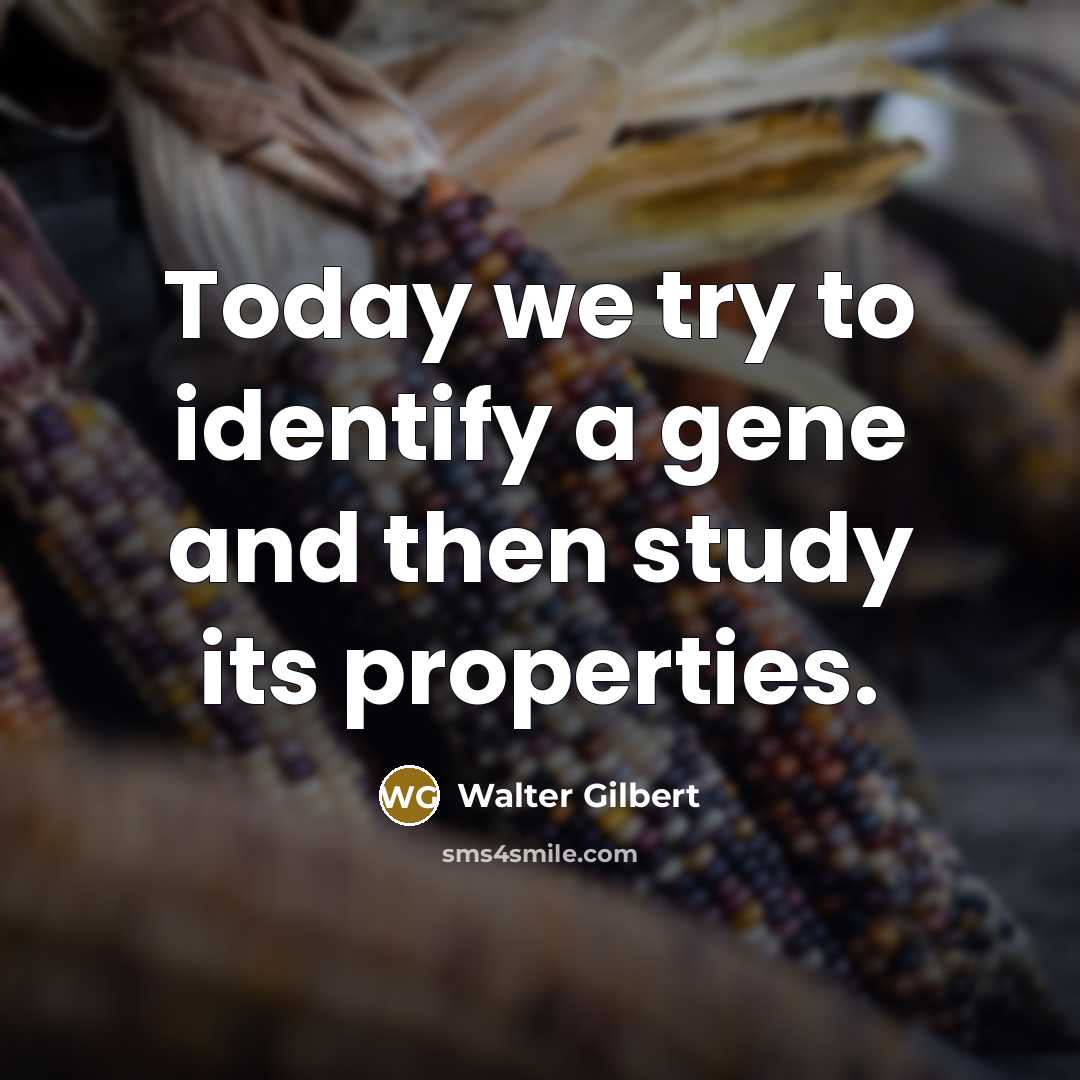 “Today we try to identify a gene and then study…” quote by Walter Gilbert