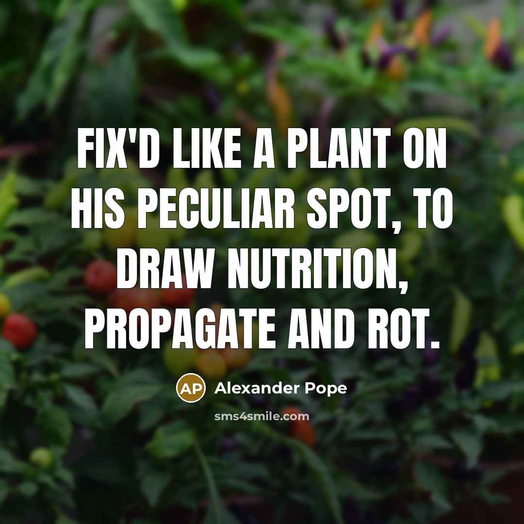 “Fix'd like a plant on his peculiar spot, To draw…” quote by Alexander Pope