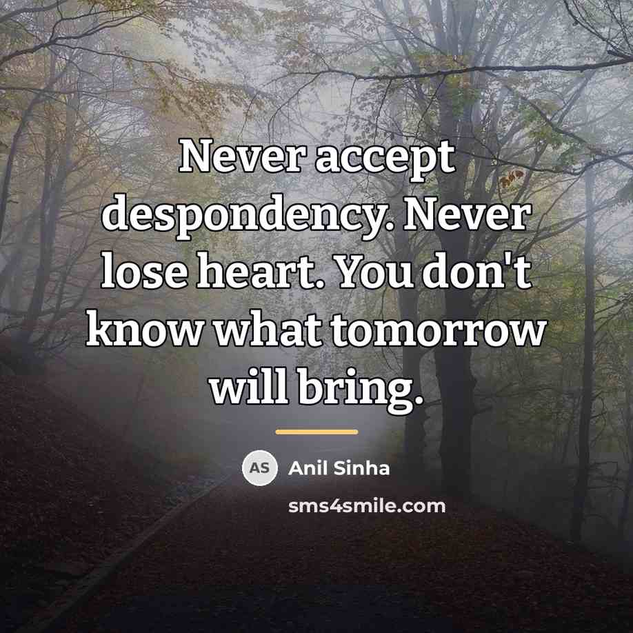 “Never accept despondency. Never lose heart. You don't know what…” quote by Anil Sinha