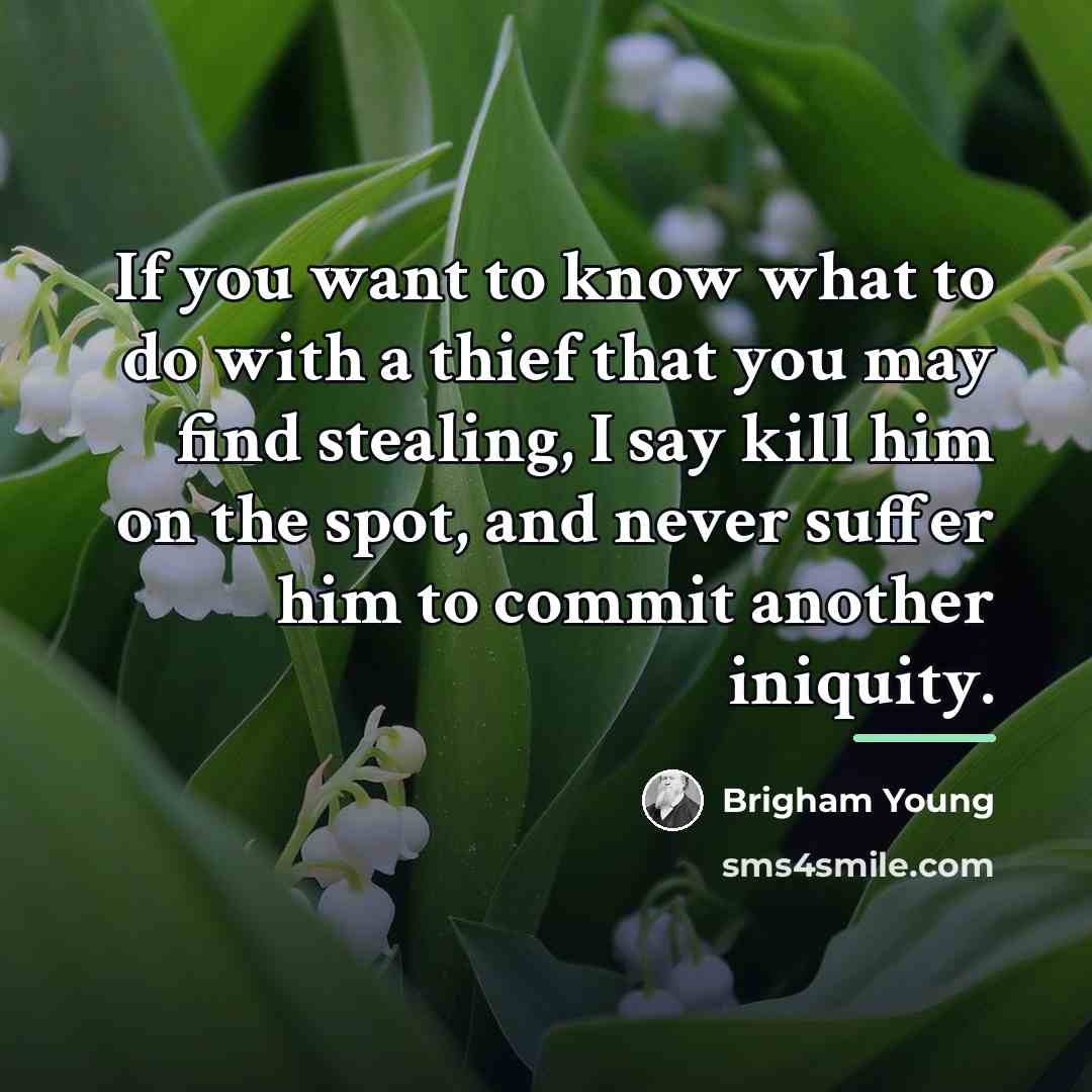 “If you want to know what to do with a…” quote by Brigham Young