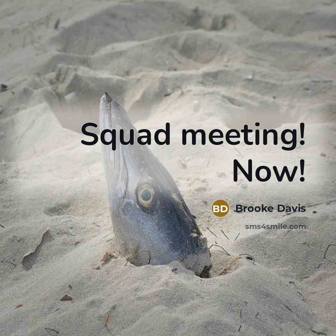 “Squad meeting! Now!…” quote by Brooke Davis