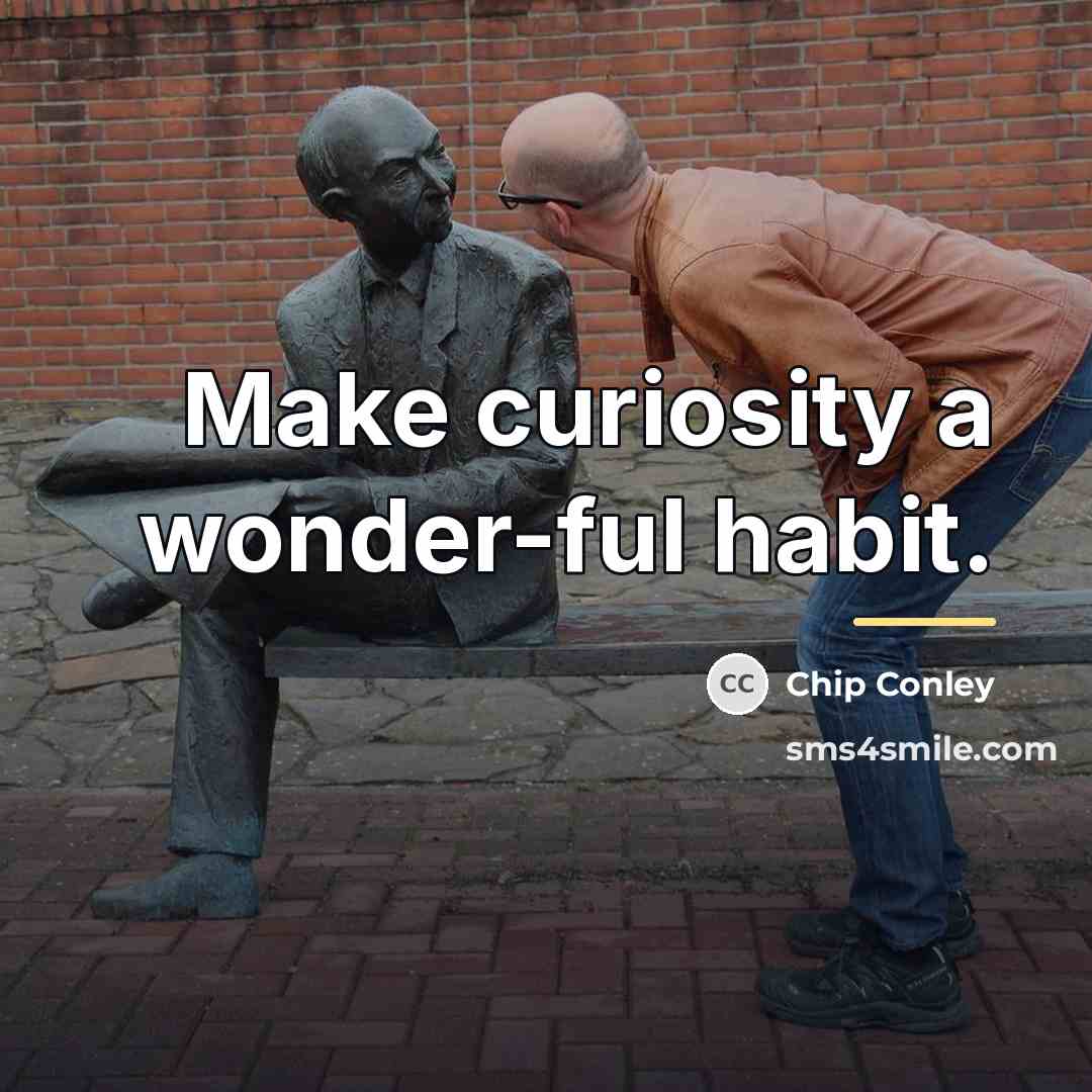 “Make curiosity a wonder-ful habit.…” quote by Chip Conley