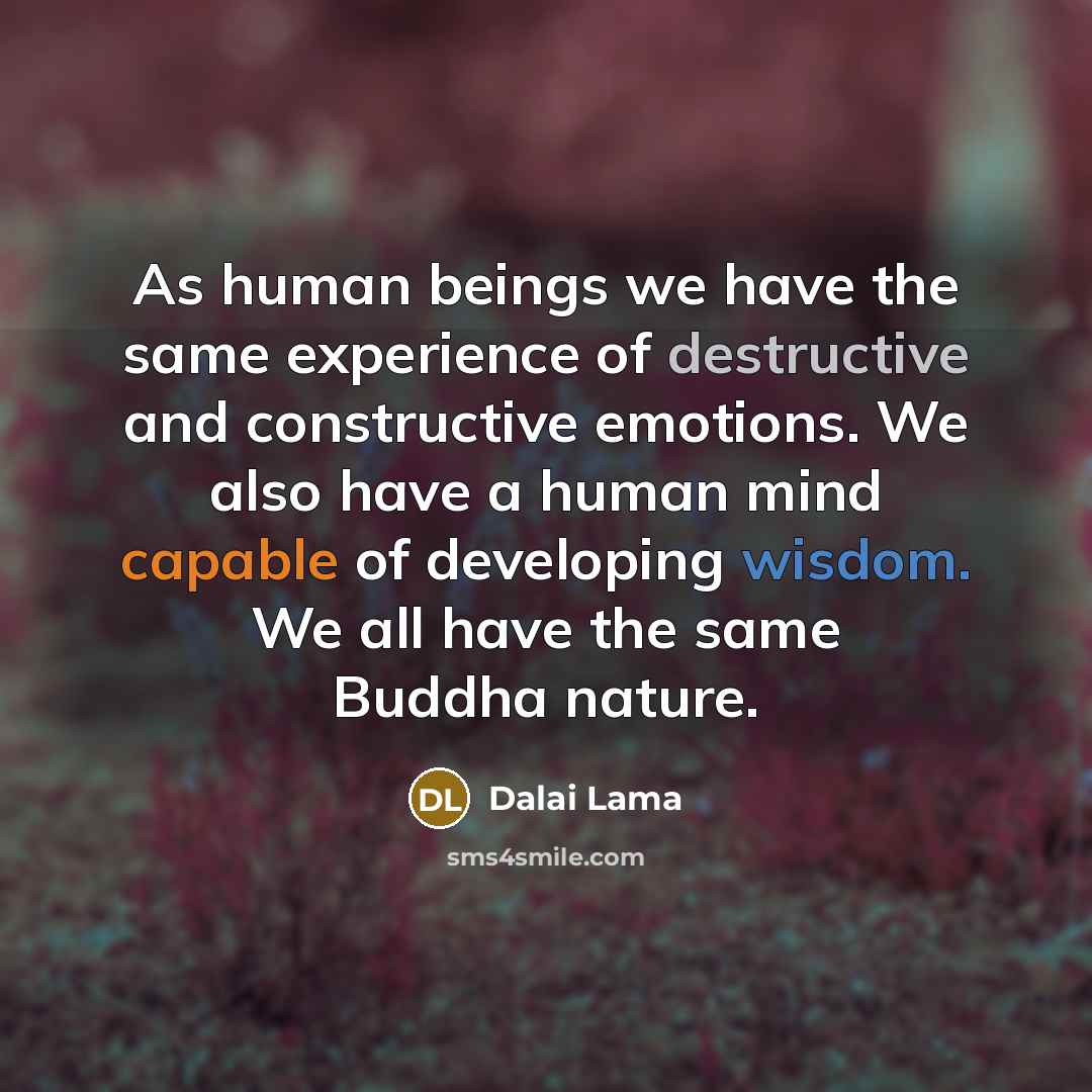 “As human beings we have the same experience of destructive…” quote by Dalai Lama