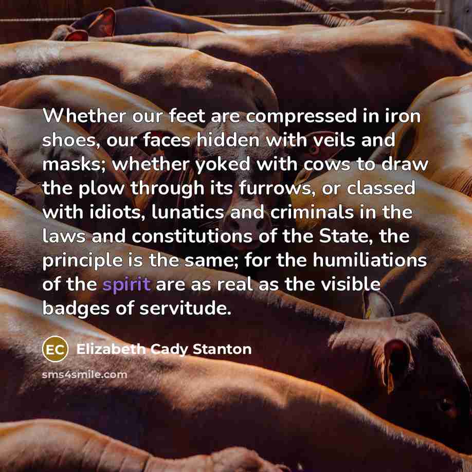 “Whether our feet are compressed in iron shoes, our faces…” quote by Elizabeth Cady Stanton