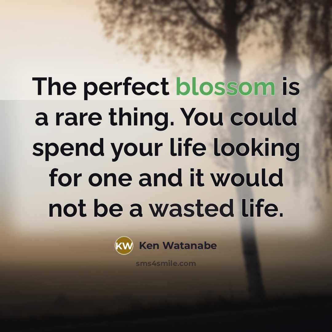 “The perfect blossom is a rare thing. You could spend…” quote by Ken Watanabe
