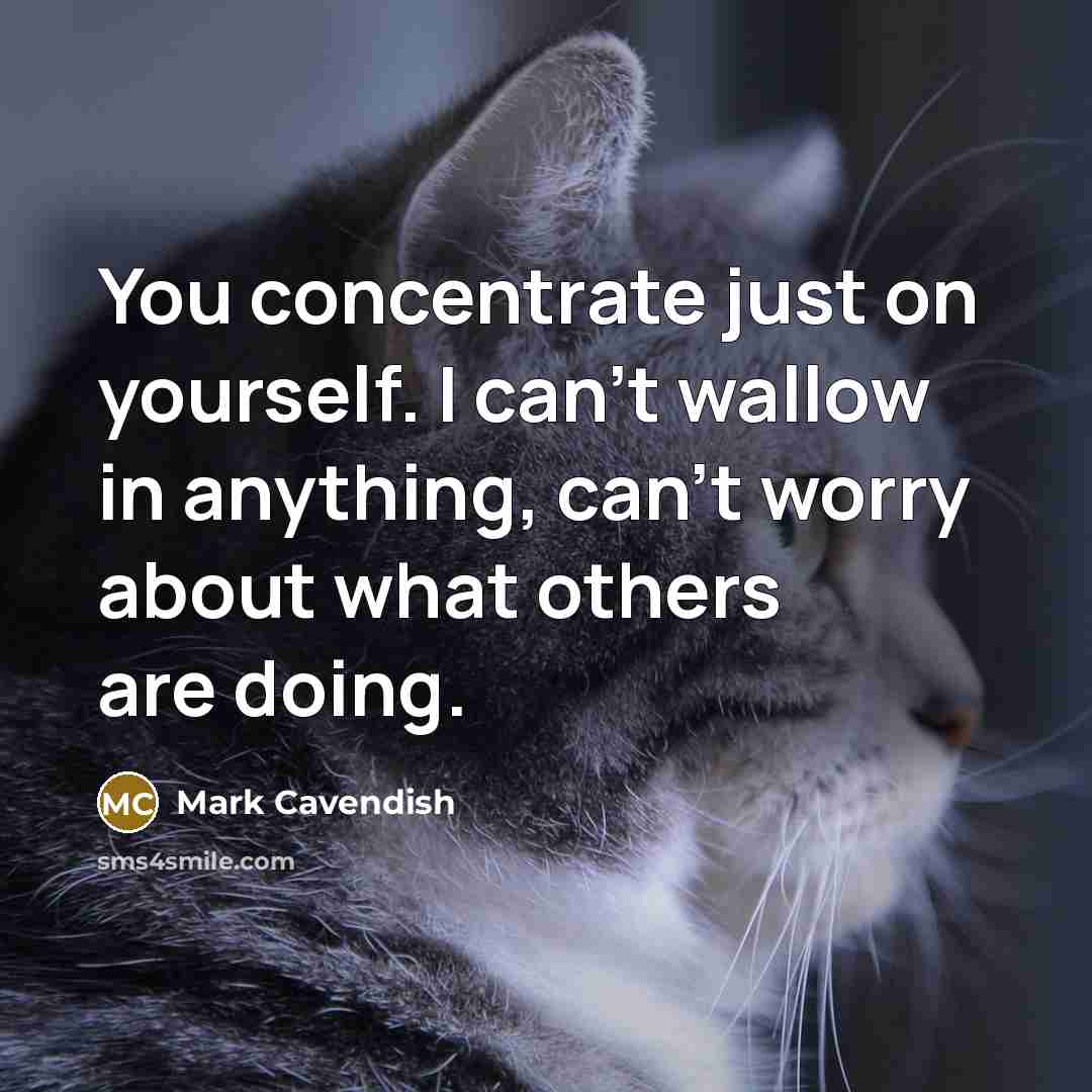 “You concentrate just on yourself. I can't wallow in anything,…” quote by Mark Cavendish