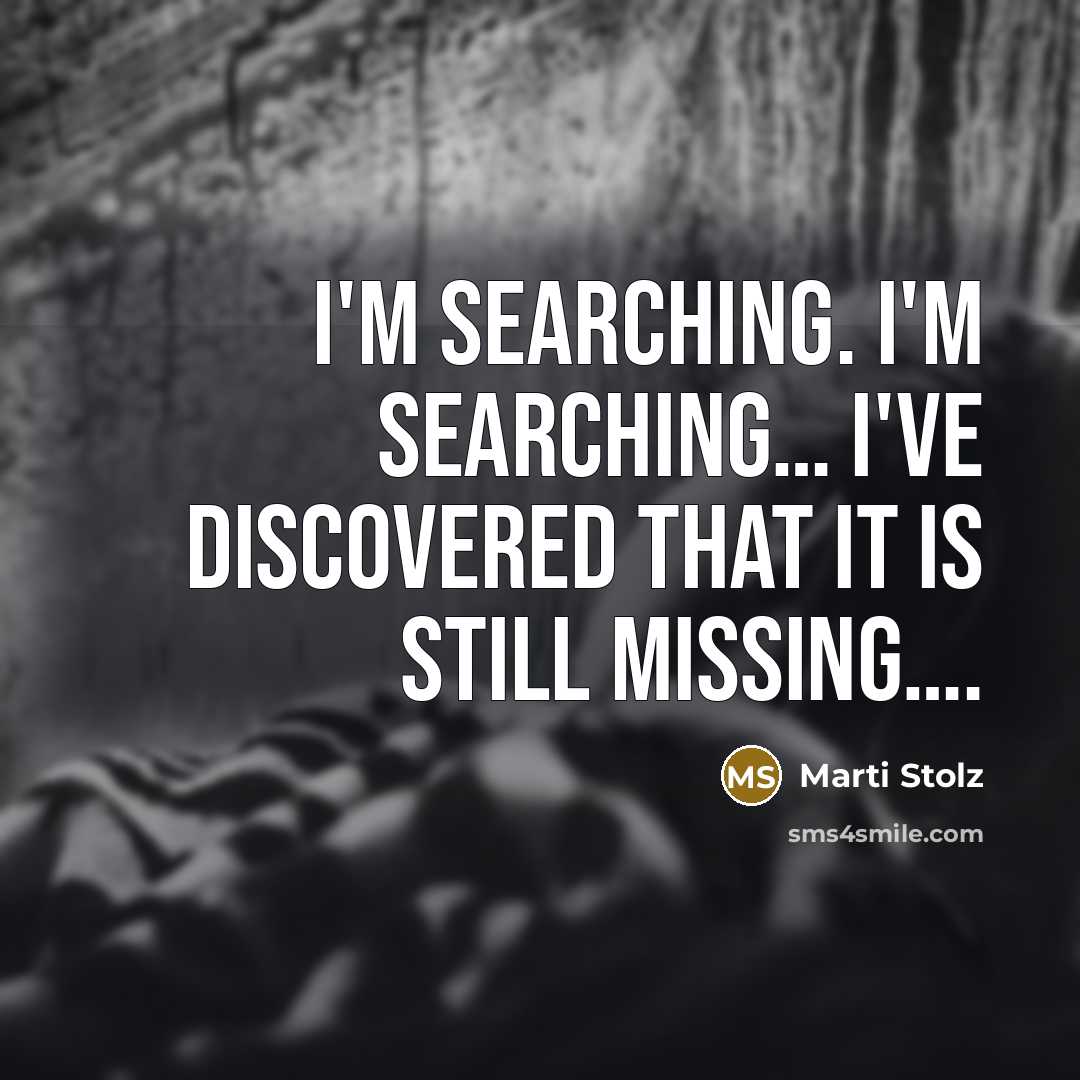 “I'm searching. I'm searching… I've discovered that it is still missing….” quote by Marti Stolz