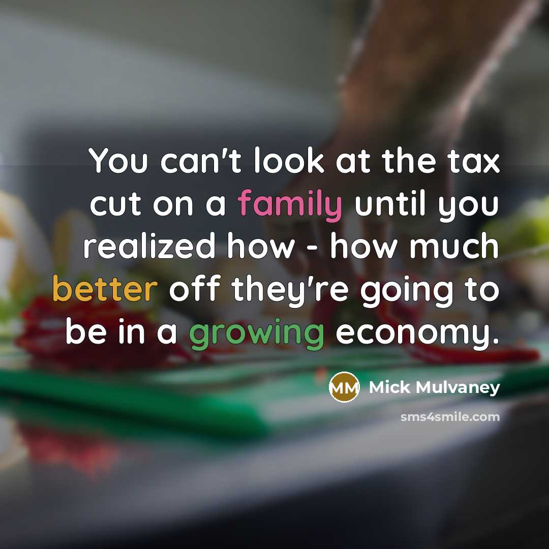 “You can't look at the tax cut on a family…” quote by Mick Mulvaney