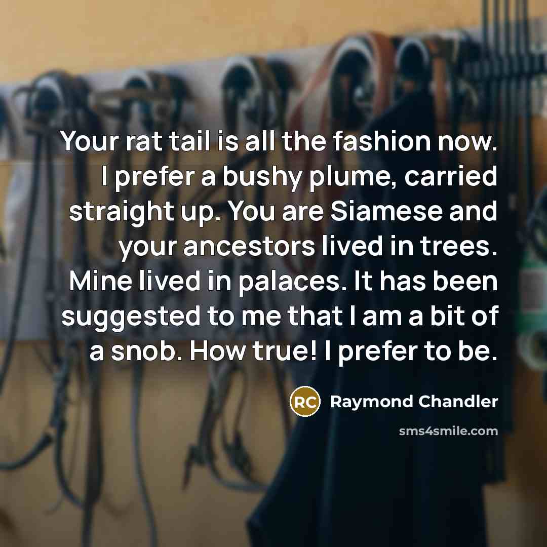 “Your rat tail is all the fashion now. I prefer…” quote by Raymond Chandler