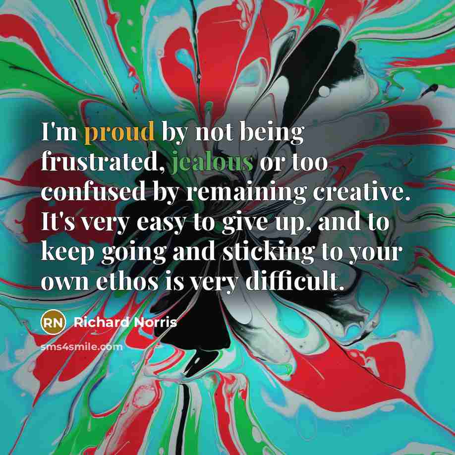 “I'm proud by not being frustrated, jealous or too confused…” quote by Richard Norris