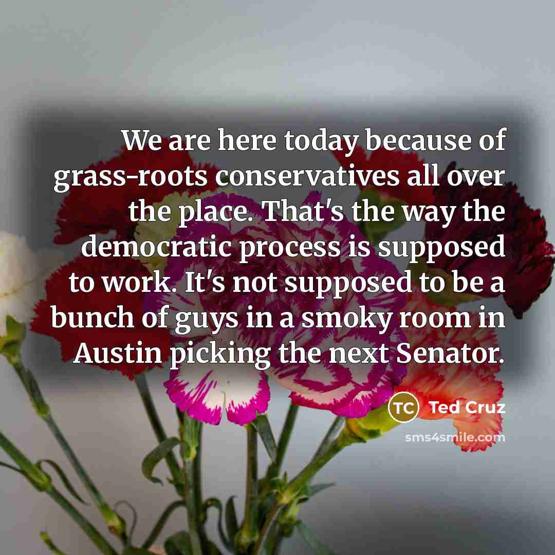 “We are here today because of grass-roots conservatives all over…” quote by Ted Cruz