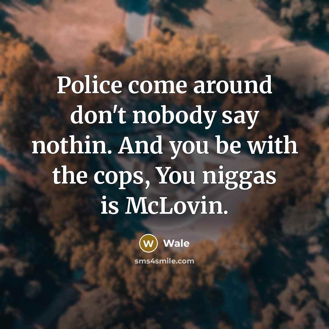 “Police come around don't nobody say nothin. And you be with the cops, You niggas is McLovin.” quote by Wale