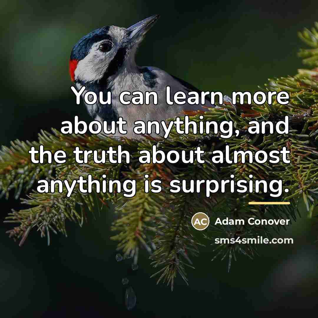 “You can learn more about anything, and the truth about…” quote by Adam Conover