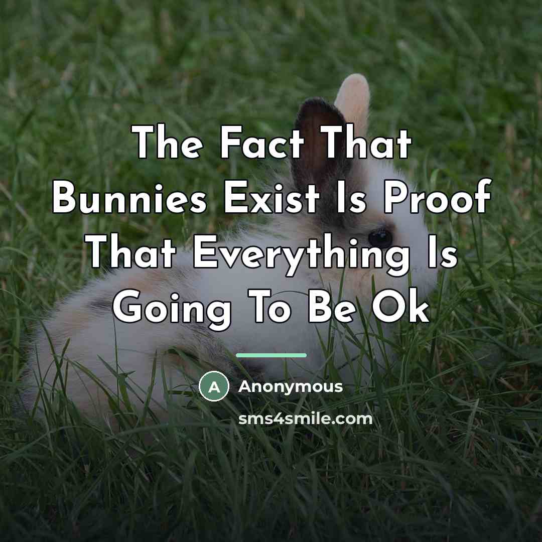 “The Fact That Bunnies Exist Is Proof That Everything Is…” quote by Anonymous