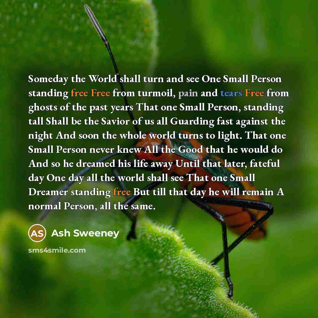 “Someday the World shall turn and see One Small Person…” quote by Ash Sweeney