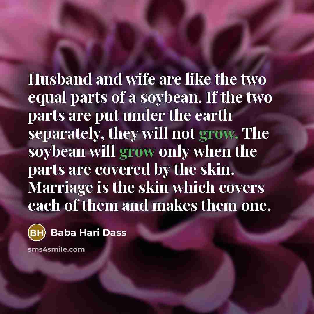 “Husband and wife are like the two equal parts of…” quote by Baba Hari Dass