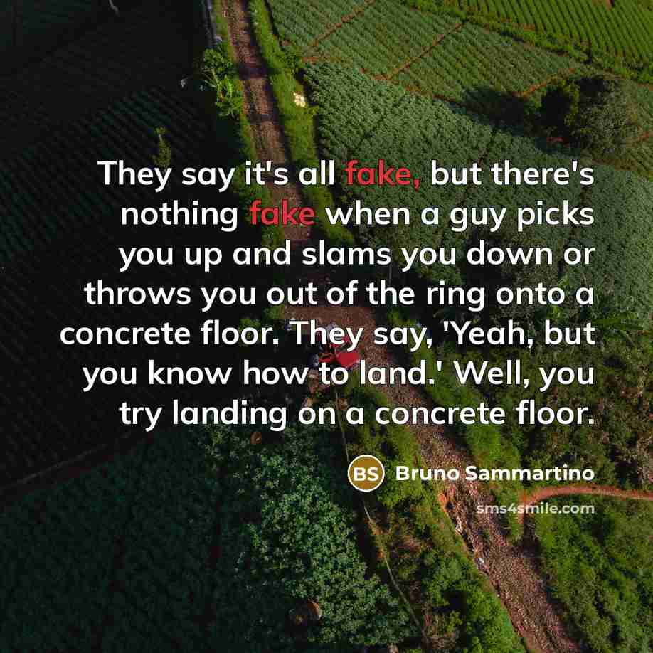 “They say it's all fake, but there's nothing fake when…” quote by Bruno Sammartino