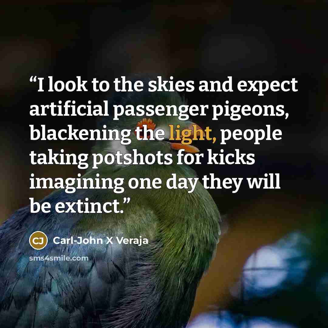 “I look to the skies and expect artificial passenger pigeons, blackening the light, people taking potshots for kicks imagining one day they will be extinct.” quote by Carl-John X Veraja