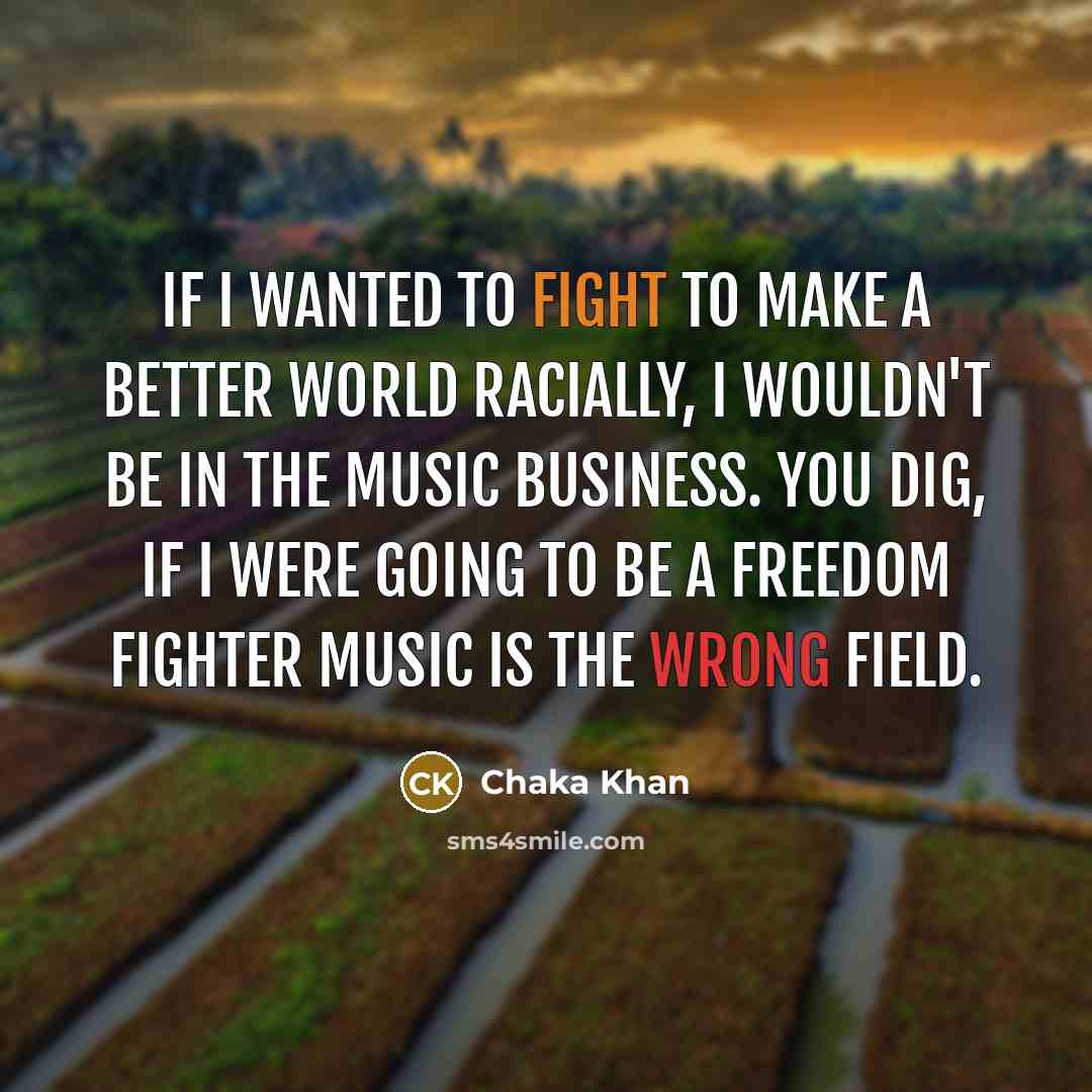“If I wanted to fight to make a better world…” quote by Chaka Khan