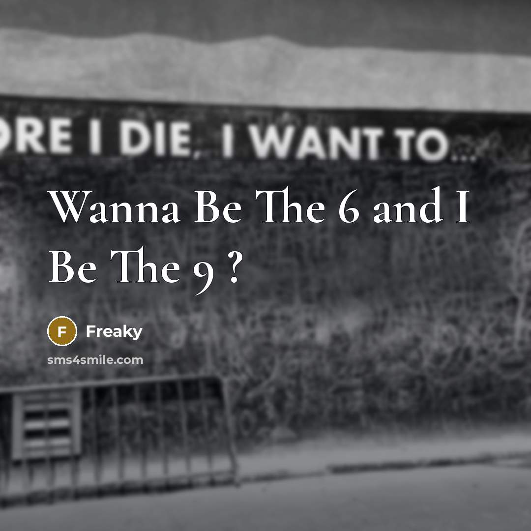 “Wanna Be The 6 and I Be The 9 ?…” quote by Freaky