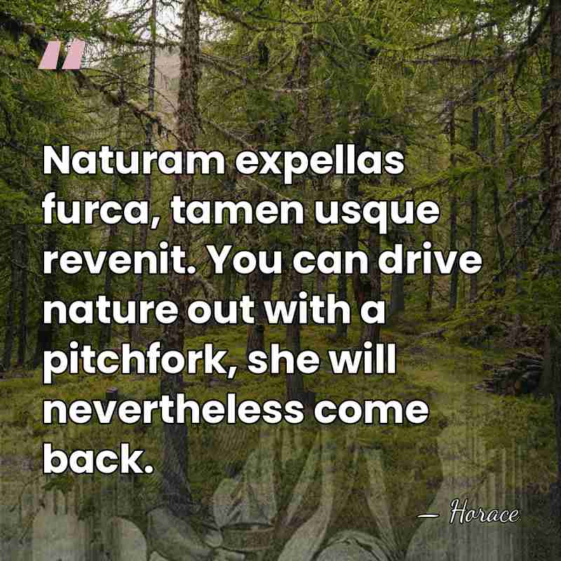 Naturam expellas furca, tamen usque revenit. You can drive nature out with&hellip; - Horace