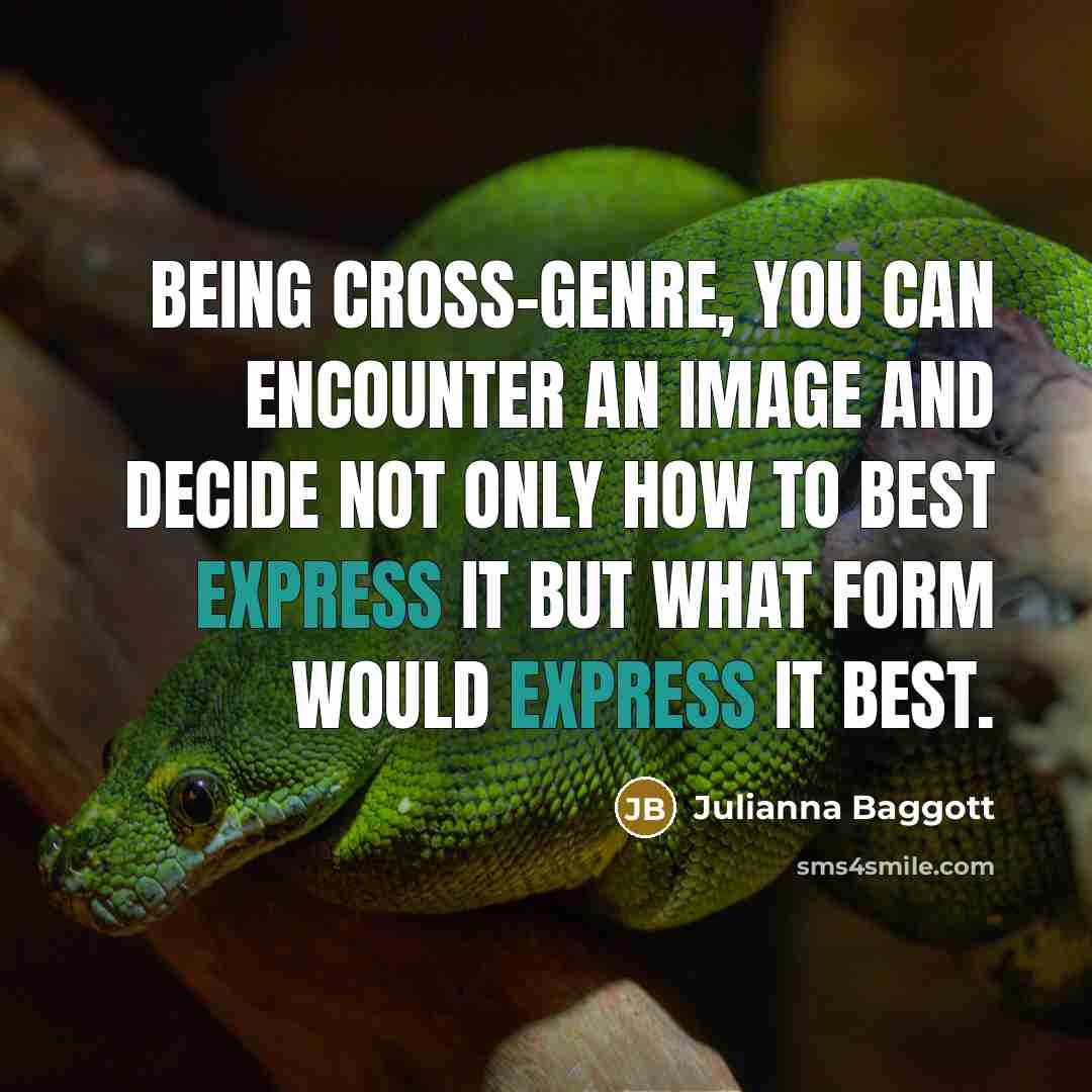 “Being cross-genre, you can encounter an image and decide not…” quote by Julianna Baggott