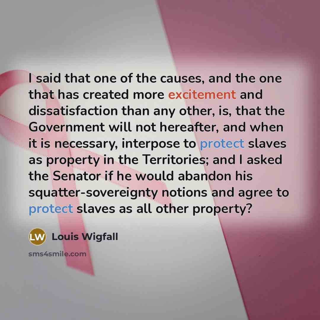 “I said that one of the causes, and the one that has created more excitement and dissatisfaction than any other, is, that the Government will not hereafter, and when it is necessary, interpose to protect slaves as property in the Territories; and I asked the Senator if he would abandon his…” quote by Louis Wigfall