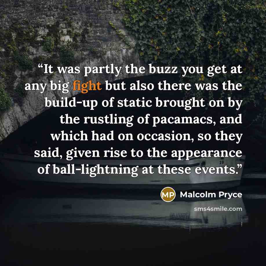 “It was partly the buzz you get at any big fight but also there was the build-up of static brought on by the rustling of pacamacs, and which had on occasion, so they said, given rise to the appearance of ball-lightning at these events.” quote by Malcolm Pryce