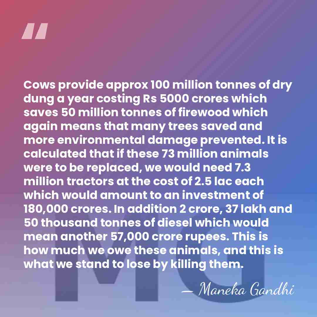 Cows provide approx 100 million tonnes of dry dung a year costing&hellip; - Maneka Gandhi