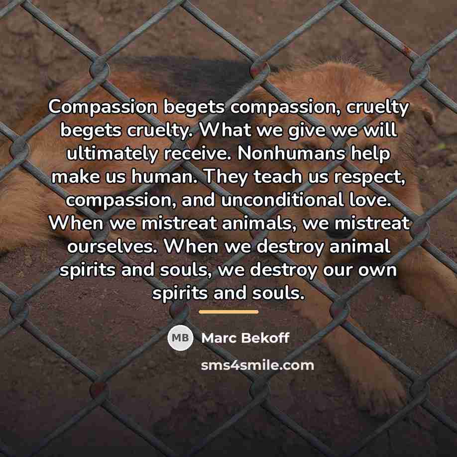 “Compassion begets compassion, cruelty begets cruelty. What we give we…” quote by Marc Bekoff