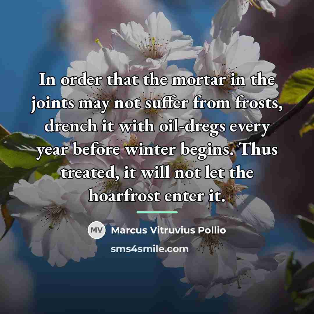 “In order that the mortar in the joints may not…” quote by Marcus Vitruvius Pollio