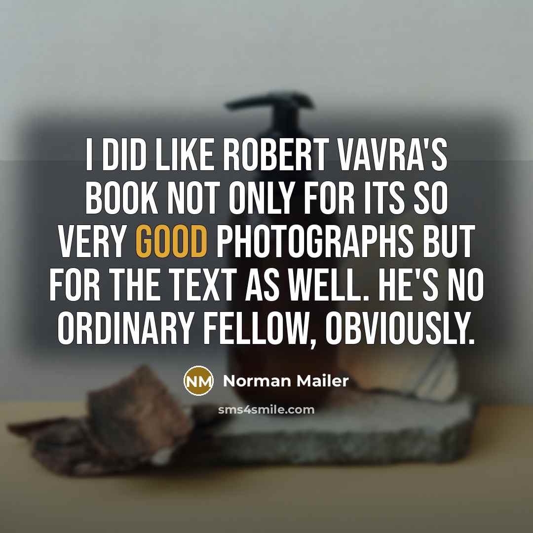 “I did like Robert Vavra's book not only for its…” quote by Norman Mailer