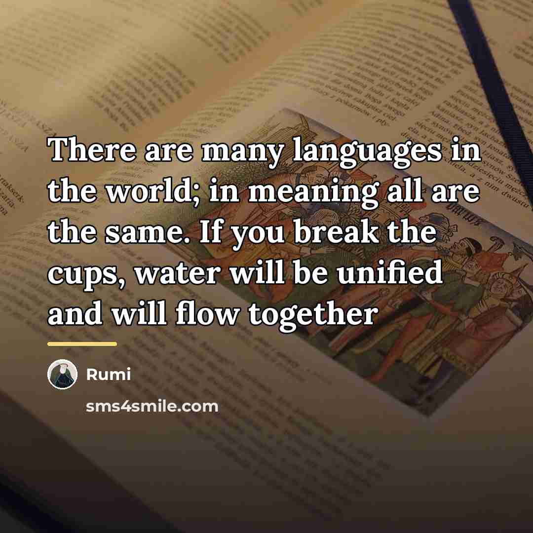 “There are many languages in the world; in meaning all…” quote by Rumi