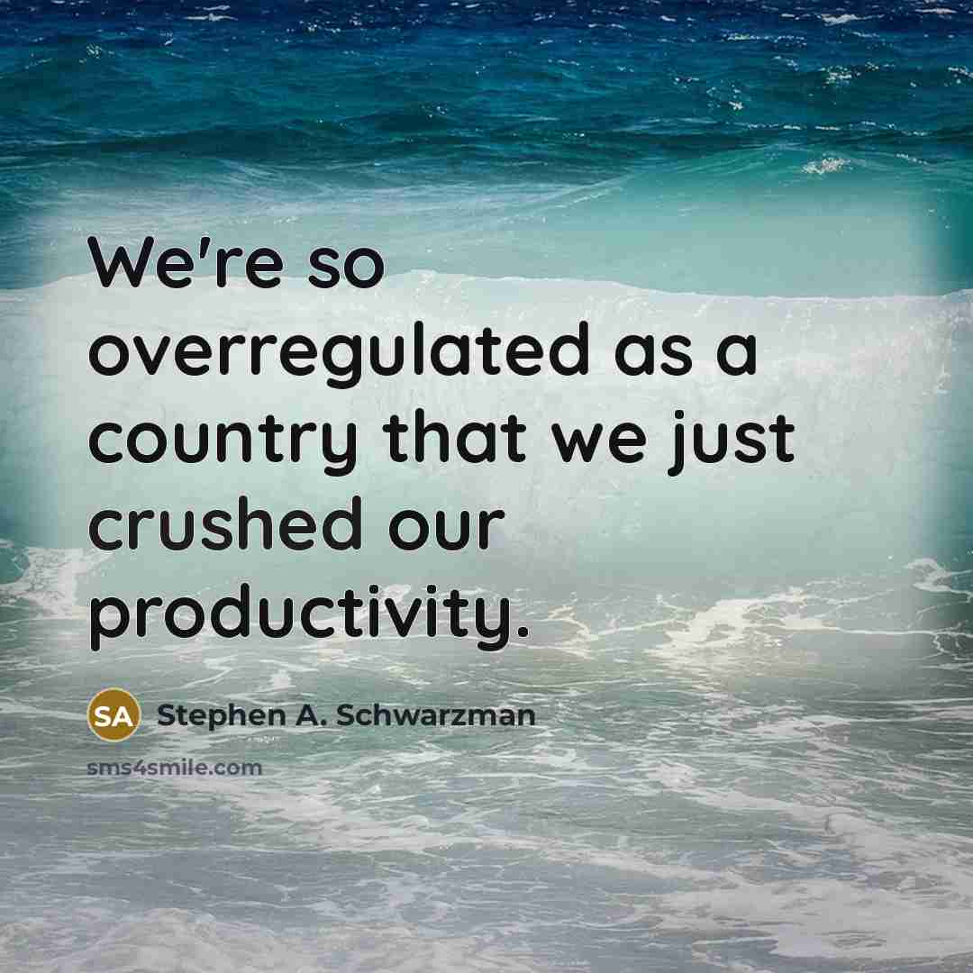 “We're so overregulated as a country that we just crushed…” quote by Stephen A. Schwarzman