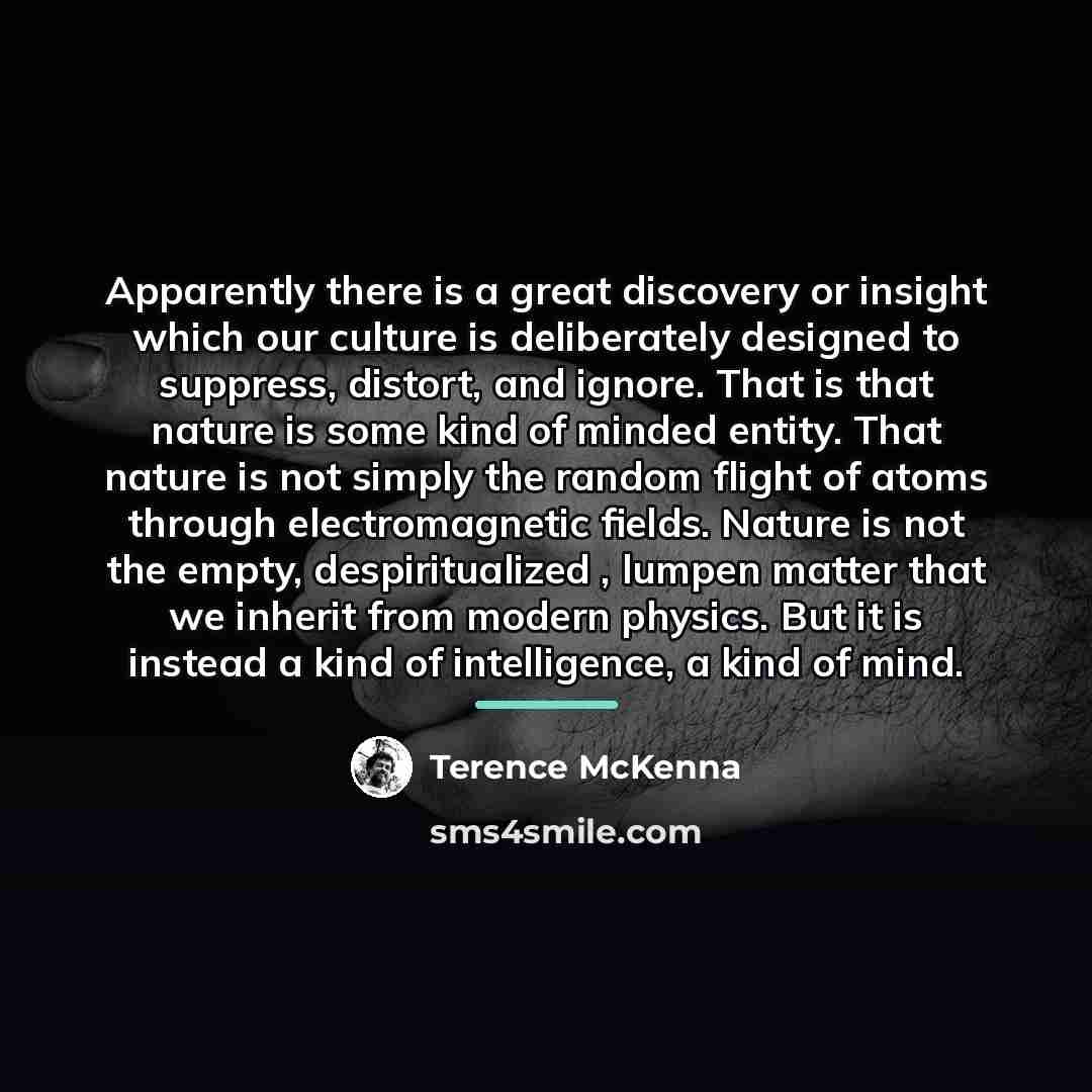 “Apparently there is a great discovery or insight which our…” quote by Terence McKenna
