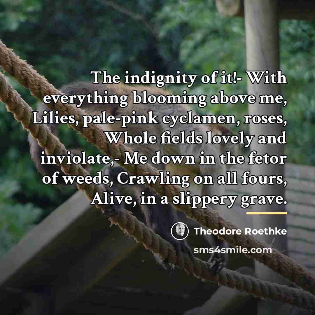 “The indignity of it!- With everything blooming above me, Lilies,…” quote by Theodore Roethke