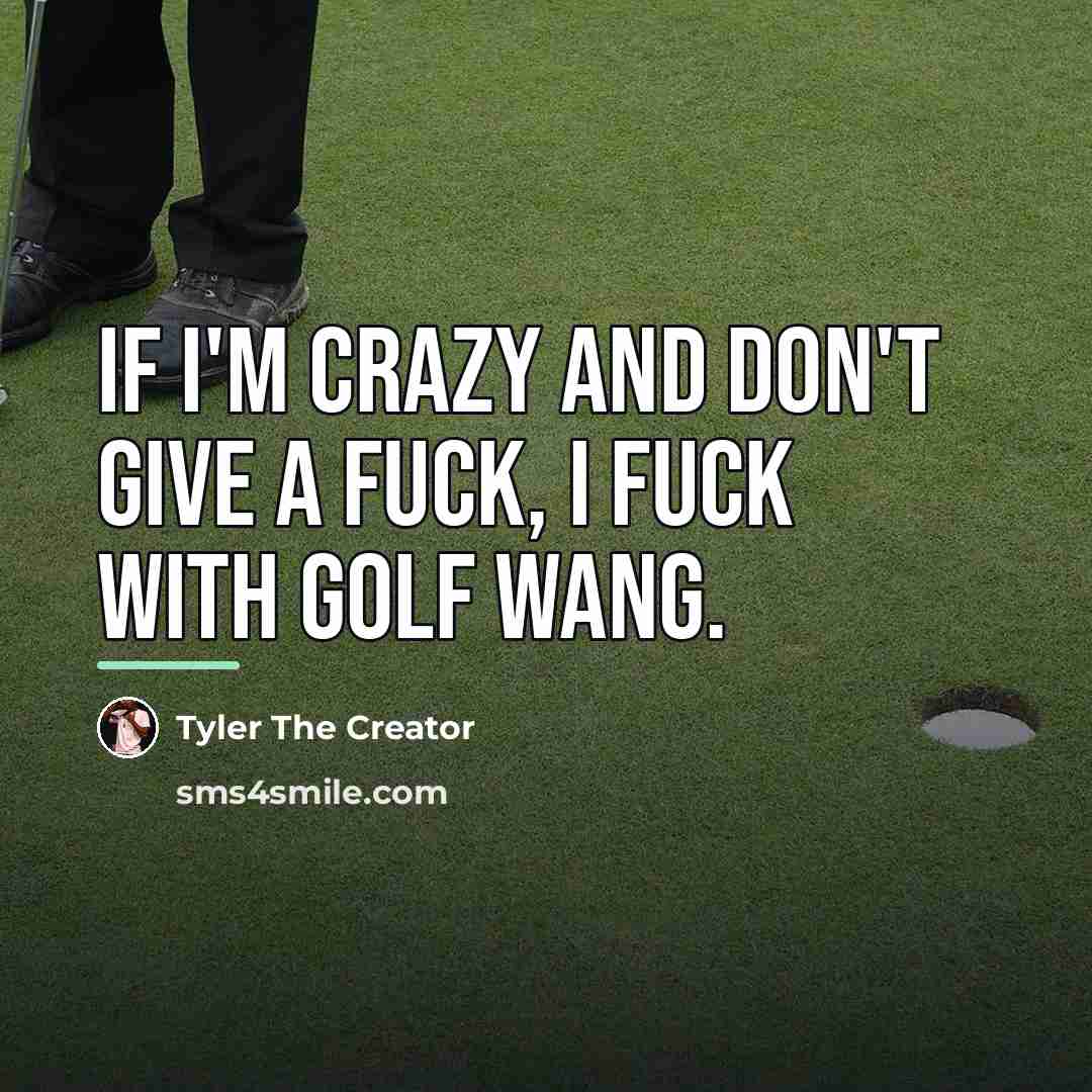 “If I'm crazy and don't give a fuck, I fuck…” quote by Tyler The Creator