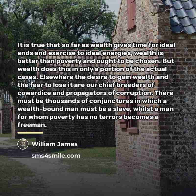 “It is true that so far as wealth gives time…” quote by William James