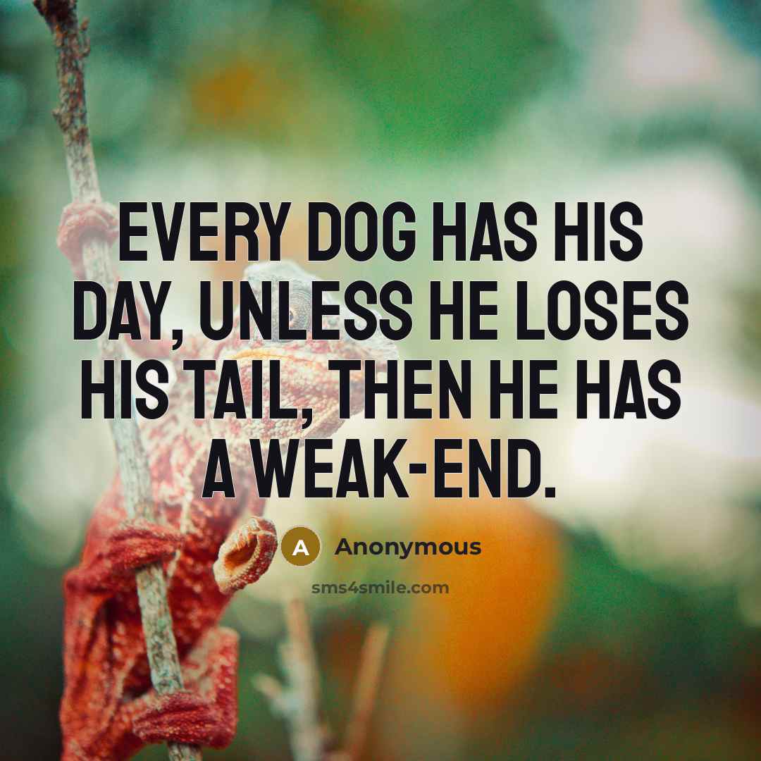 “Every dog has his day, unless he loses his tail, then he has a weak-end.” quote by Anonymous