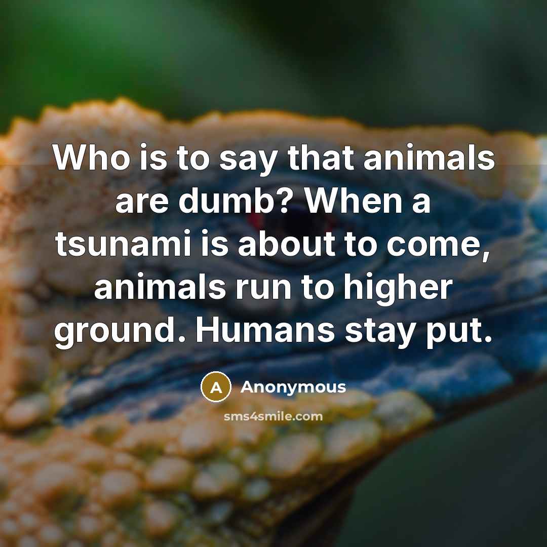 “Who is to say that animals are dumb? When a…” quote by Anonymous