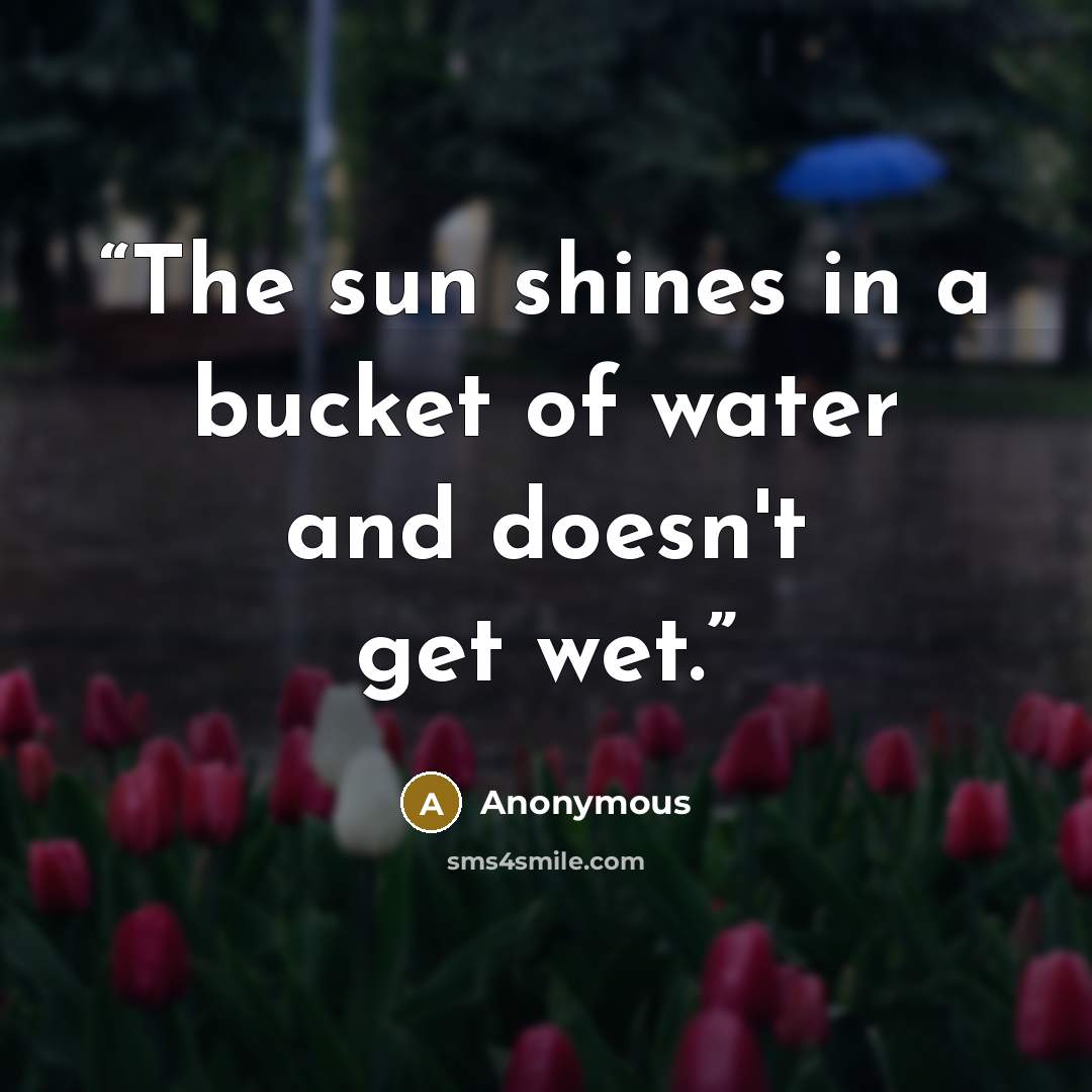 “The sun shines in a bucket of water and doesn't get wet.” quote by Anonymous