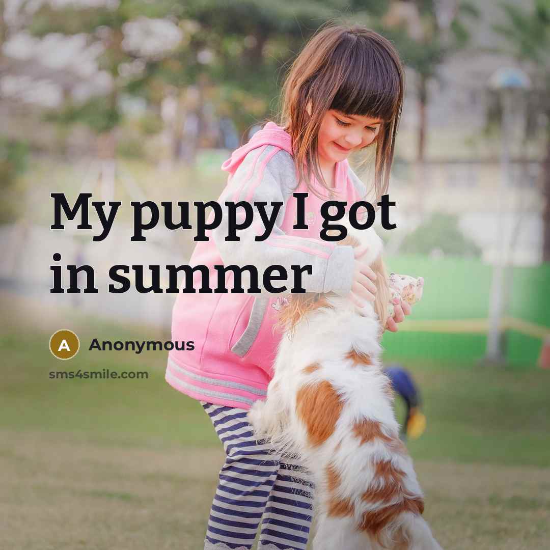 “My puppy I got in summer” quote by Anonymous