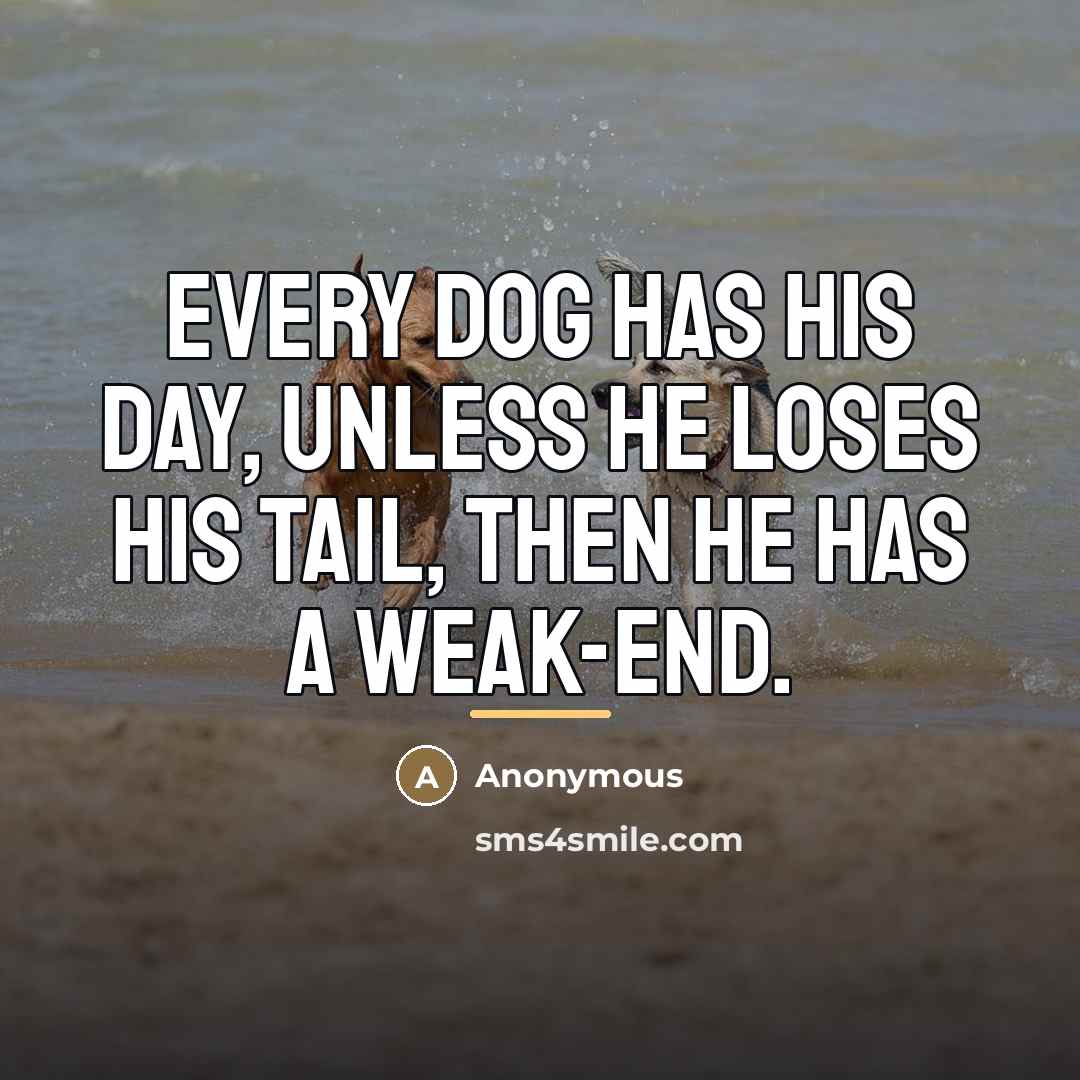 “Every dog has his day, unless he loses his tail,…” quote by Anonymous