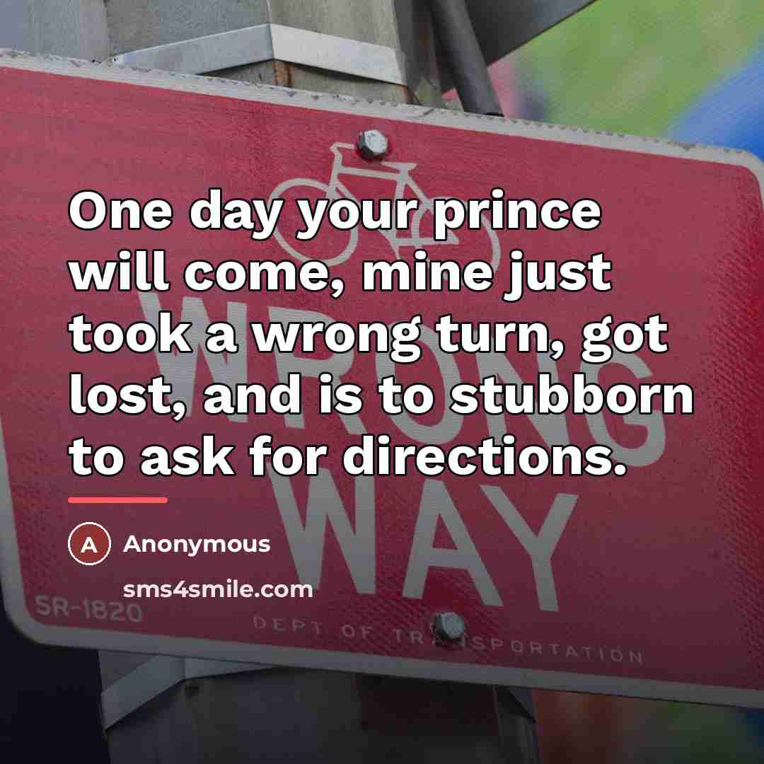 “One day your prince will come, mine just took a…” quote by Anonymous