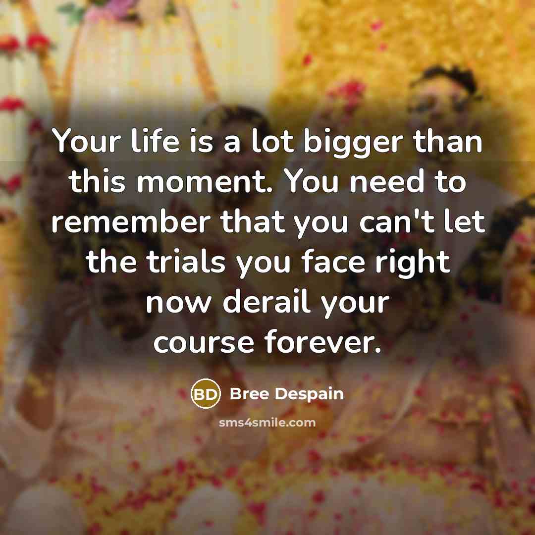 “Your life is a lot bigger than this moment. You…” quote by Bree Despain