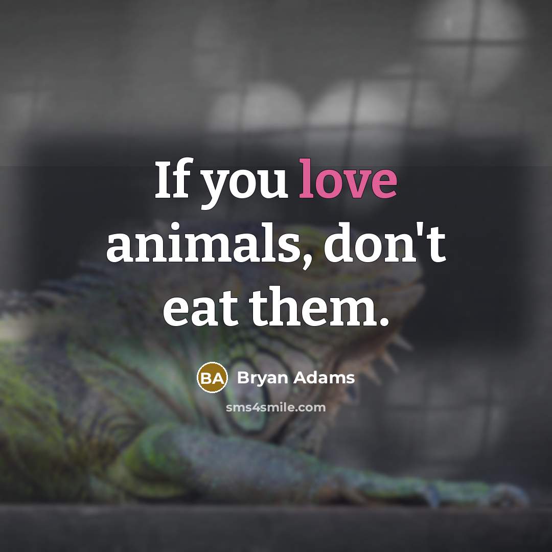 “If you love animals, don't eat them.…” quote by Bryan Adams