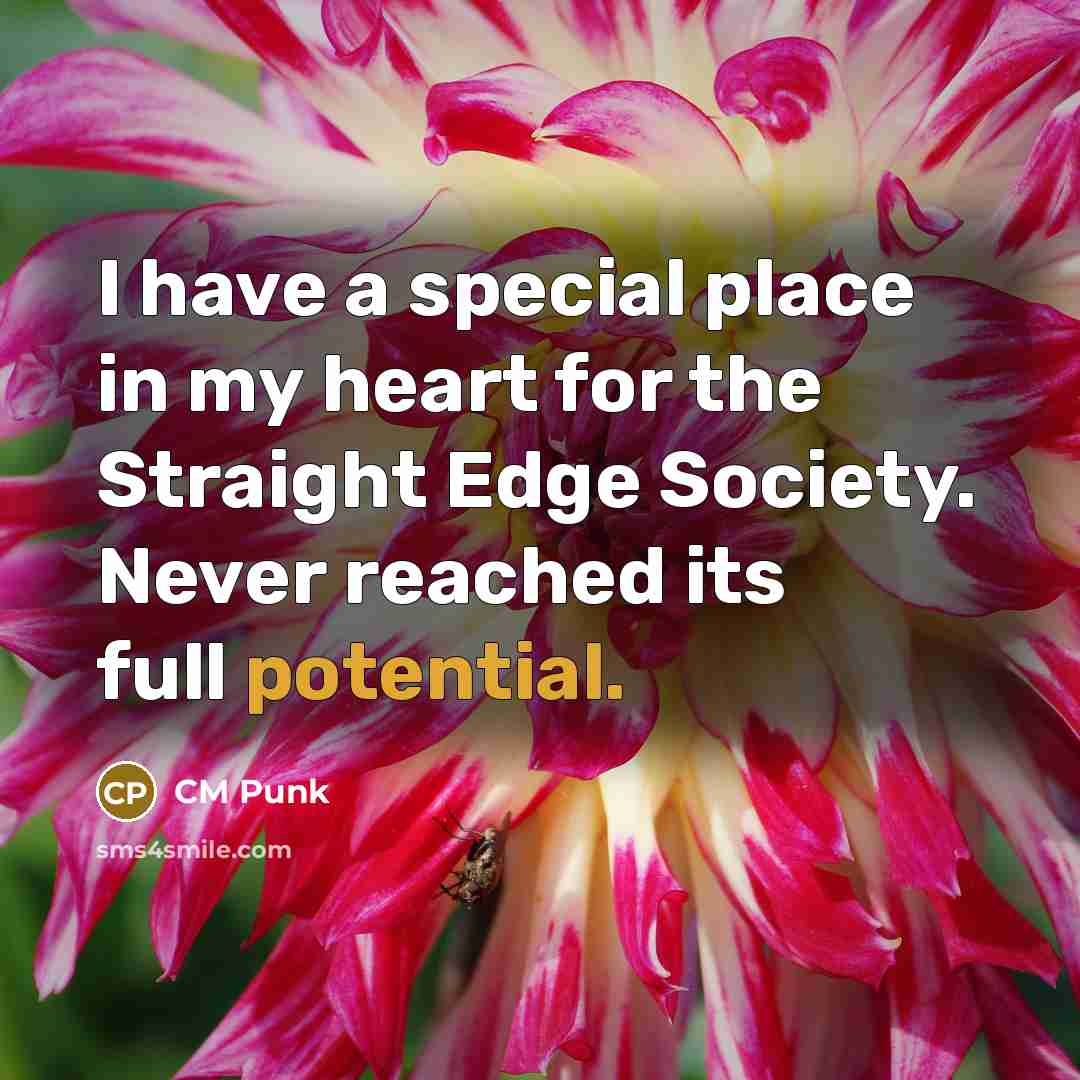 “I have a special place in my heart for the…” quote by CM Punk
