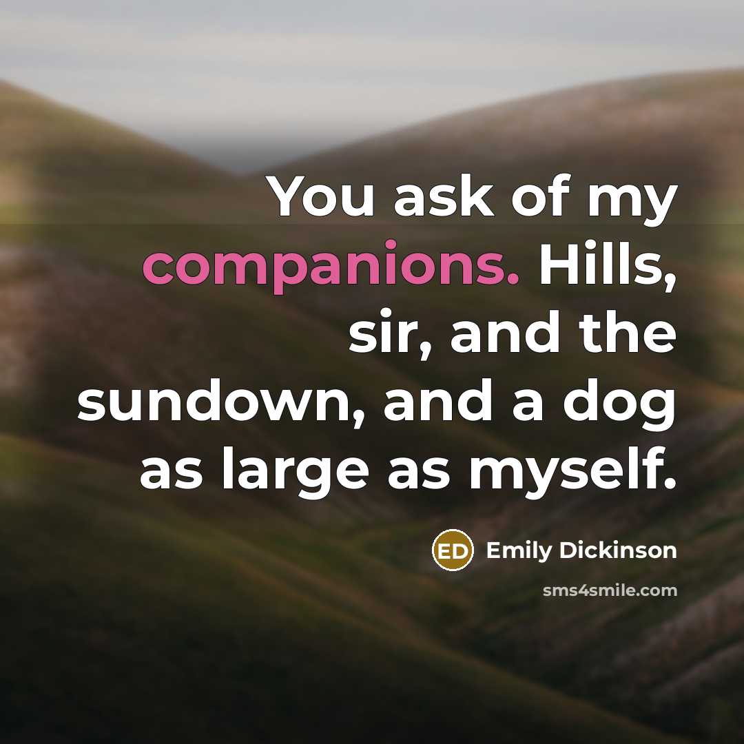 “You ask of my companions. Hills, sir, and the sundown, and a dog as large as myself.” quote by Emily Dickinson