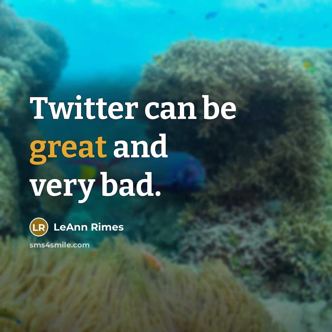 “Twitter can be great and very bad.…” quote by LeAnn Rimes