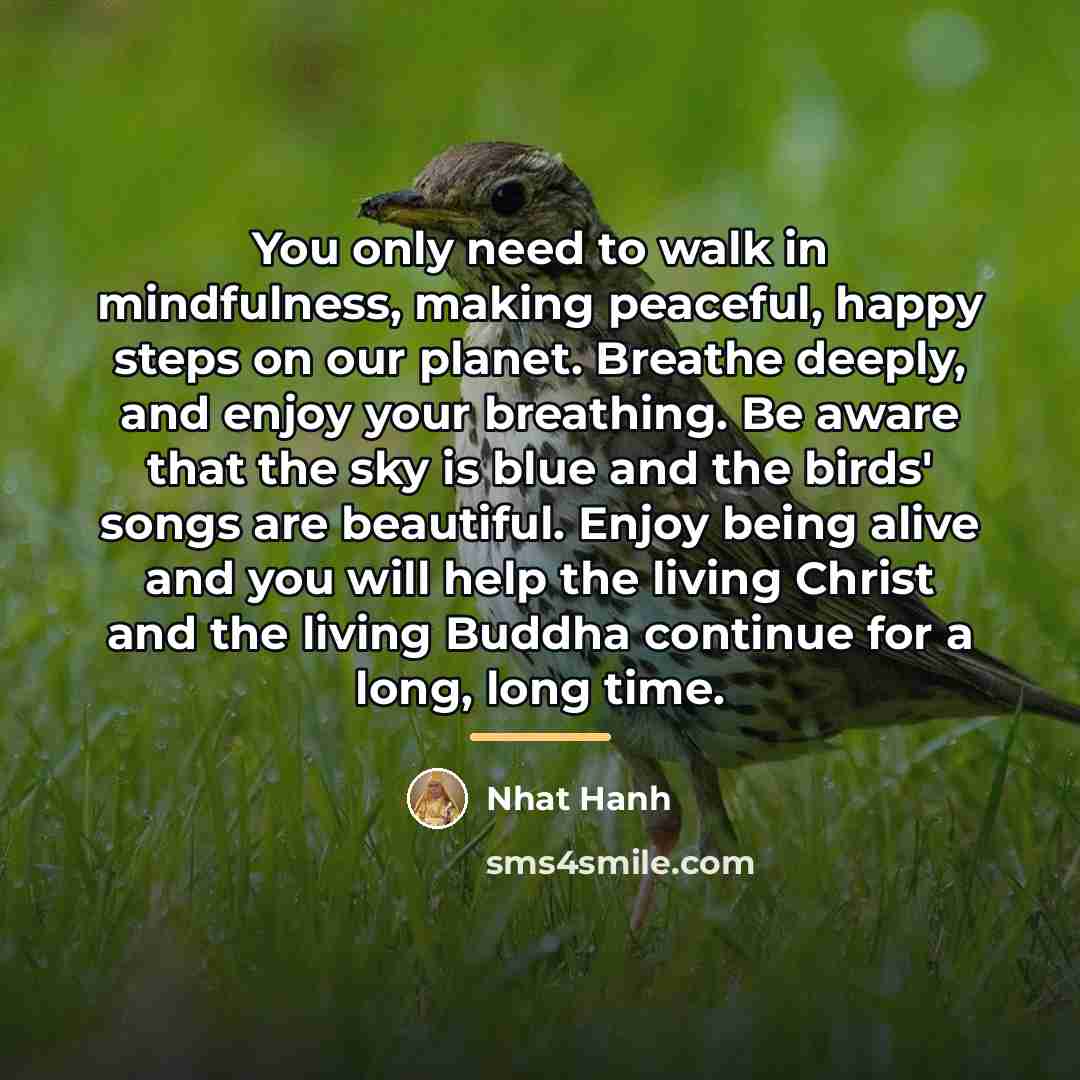 “You only need to walk in mindfulness, making peaceful, happy…” quote by Nhat Hanh